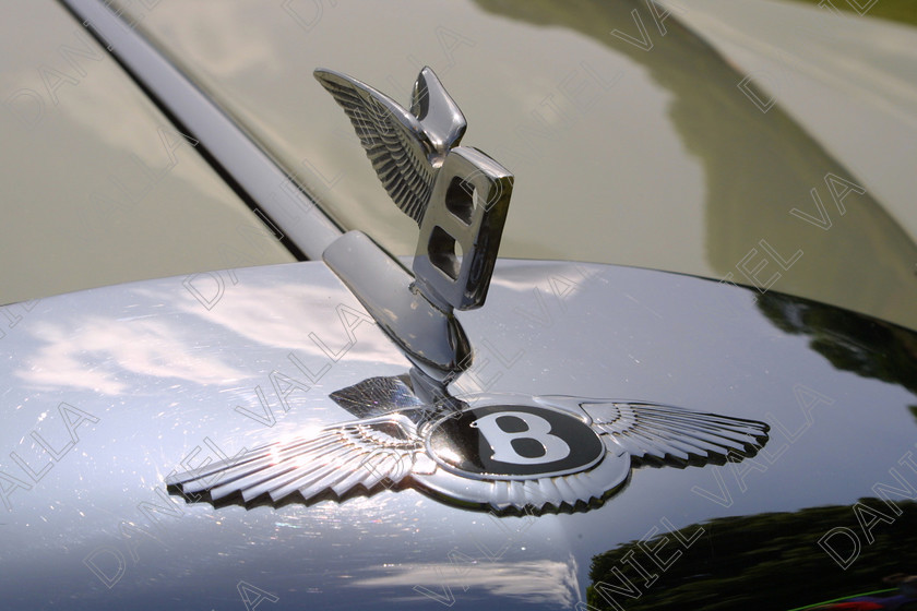 Car Badge4395 
 Vintage car Bentley badge wings 
 Keywords: sport car racing vintage classic show automobile