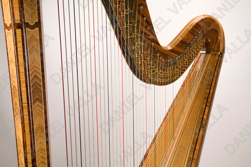 64703 Harp 
 Celtic harp 
 Keywords: celtic Harp strings music