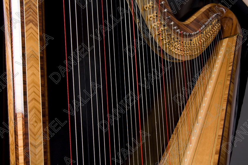 64739 Harp 
 Celtic harp 
 Keywords: celtic Harp strings music