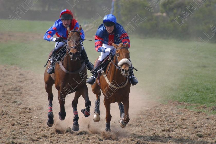 Horse Race 31907 
 Horse racing Point to Point. 
 Keywords: point to horse racing race bet winning win sports