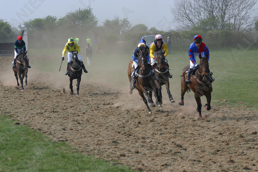 Horse Race 31901 
 Horse racing Point to Point. 
 Keywords: point to horse racing race bet winning win sports