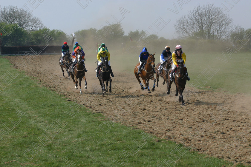 Horse Race 31891 
 Horse racing Point to Point. 
 Keywords: point to horse racing race bet winning win sports