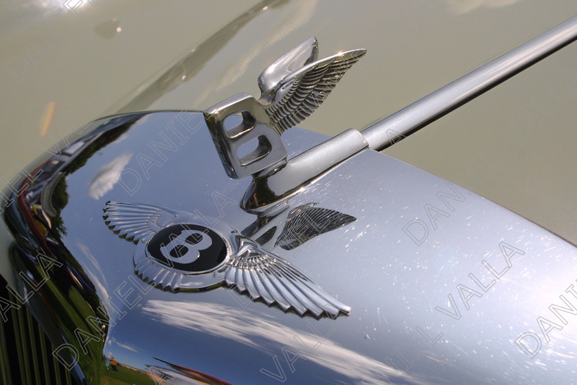 Car Badge4396 
 Vintage car Bentley badge wings 
 Keywords: sport car racing vintage classic show automobile