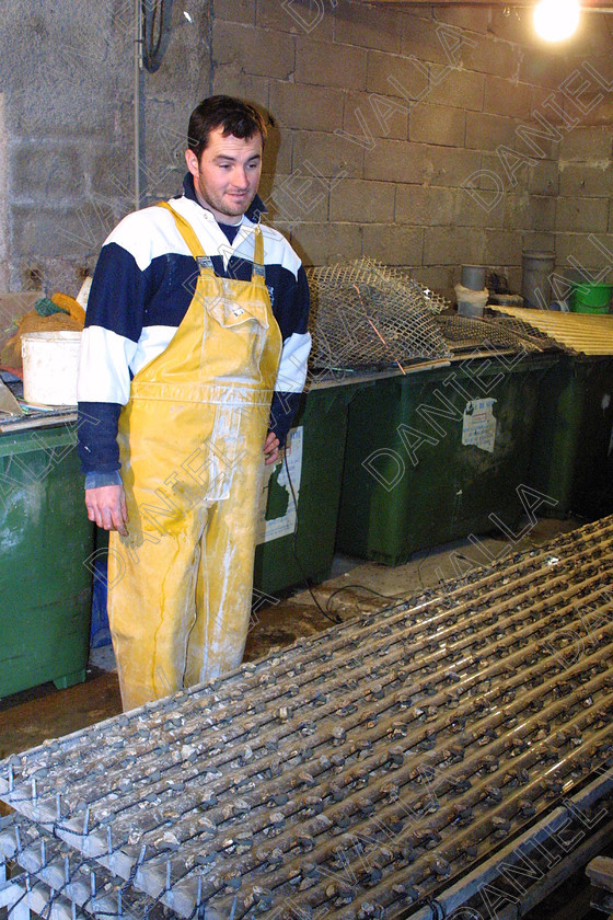 OisterFarm1090 
 Oister Farming Sete France 
 Keywords: Oister ostreiculture farming sea mussels moules huitres mediterranee sea food fish