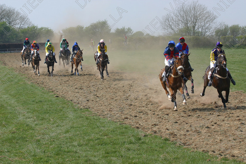 Horse Race 31890 
 Horse racing Point to Point. 
 Keywords: point to horse racing race bet winning win sports