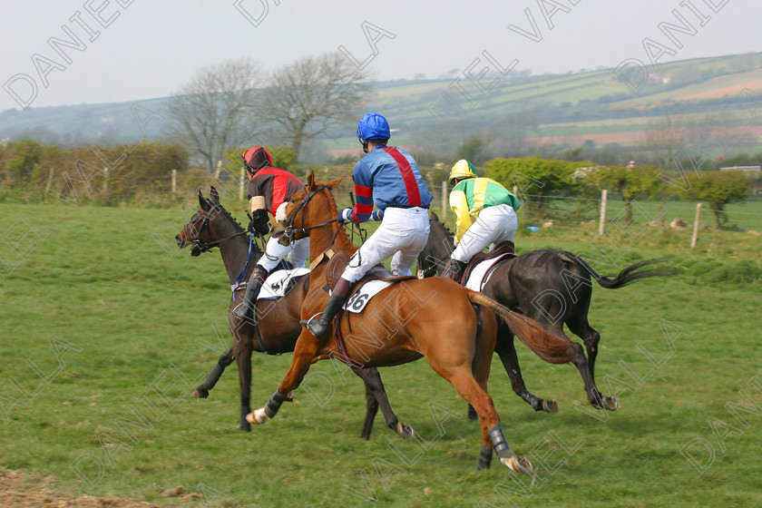 Horse Race 31879 
 Horse racing Point to Point. 
 Keywords: point to horse racing race bet winning win sports