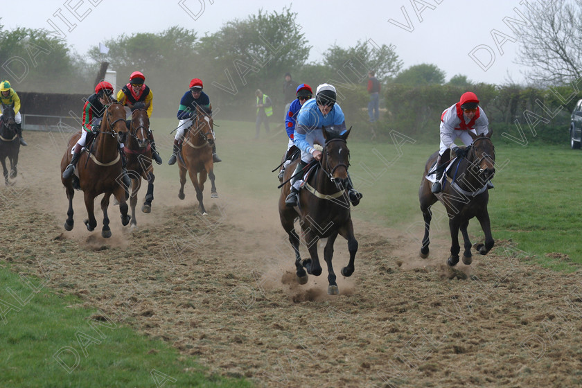 Horse Race 31925 
 Horse racing Point to Point. 
 Keywords: point to horse racing race bet winning win sports