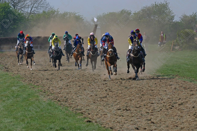 Horse Race 31887 
 Horse racing Point to Point. 
 Keywords: point to horse racing race bet winning win sports