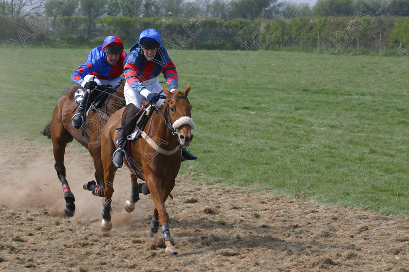 Horse Race 31908 
 Horse racing Point to Point. 
 Keywords: point to horse racing race bet winning win sports