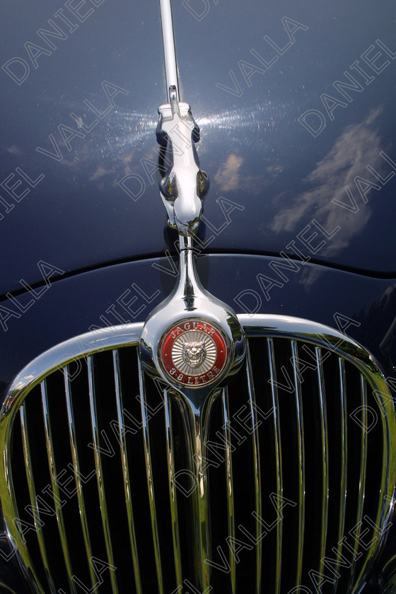 Car Badge4399 
 Vintage car badge, Jaguar 
 Keywords: sport car racing vintage classic show automobile