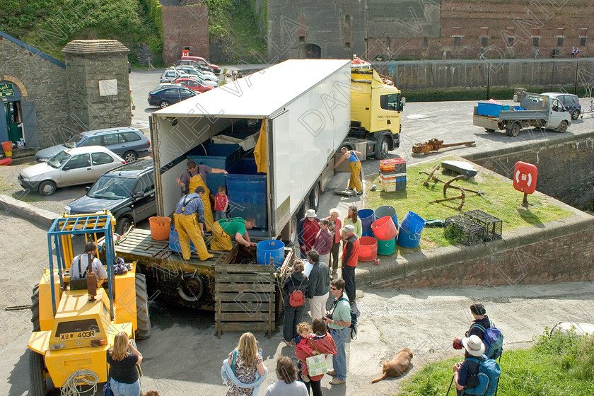 53557 Lobsters 
 Transport export Lobsters from Pembrokeshire 
 Keywords: lobster seafood Porthgain pembrokeshire sea farming crab claws