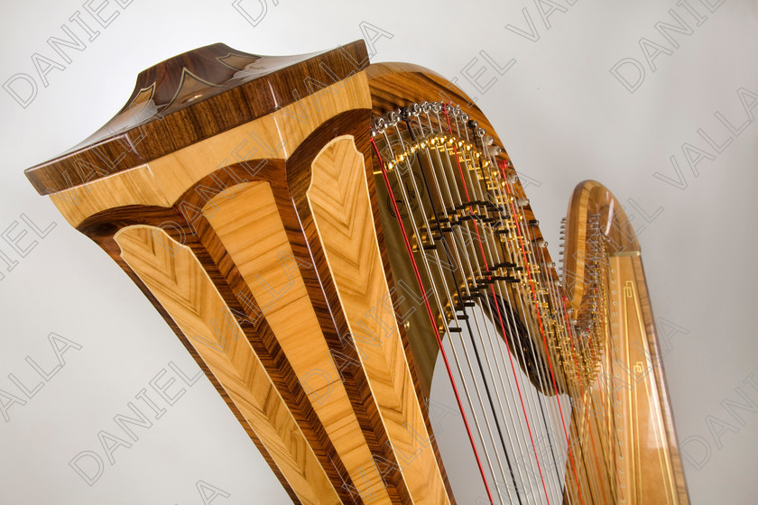 64686 Harp 
 Celtic harp 
 Keywords: celtic Harp strings music