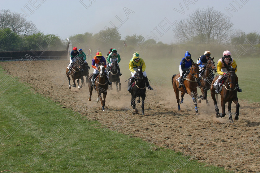 Horse Race 31892 
 Horse racing Point to Point. 
 Keywords: point to horse racing race bet winning win sports