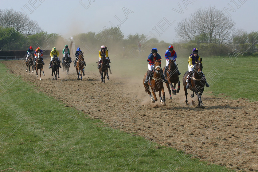 Horse Race 31889 
 Horse racing Point to Point. 
 Keywords: point to horse racing race bet winning win sports