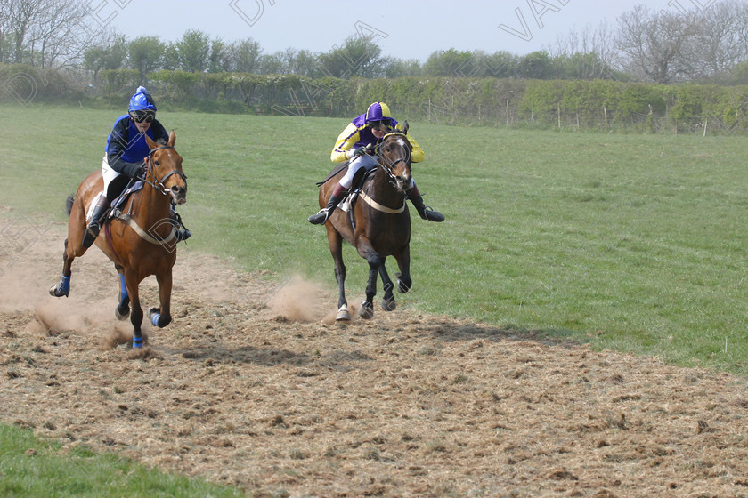 Horse Race 31909 
 Horse racing Point to Point. 
 Keywords: point to horse racing race bet winning win sports