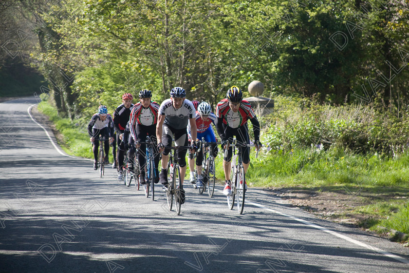 83501 Cyclists 
 Cyclists training on Road sunny woodland 
 Keywords: Cyclist cycle competition training helmet sports fitness speed race